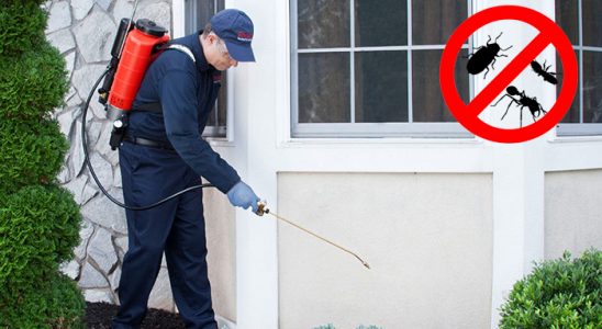 Arnavutköy Kemirgen İlaçlama böcek ilaçlama ve haşere kontrolü — ilaclama-tr.com